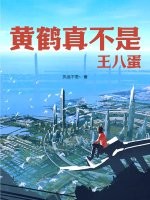33小说网 黄鹤真不是王八蛋