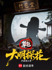 33小说网 大明草包探花