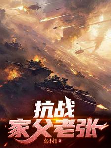 33小说网 抗战：家父老张