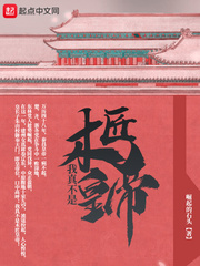 33小说网 我真不是木匠皇帝