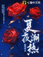 33小说网 夏夜潮热