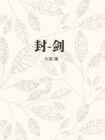 33小说网 封-剑