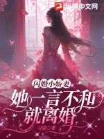 33小说网 闪婚小娇妻，她一言不和就离婚