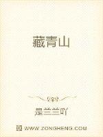 33小说网 藏海