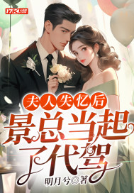 33小说网 夫人失忆后，景总当起了代驾