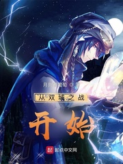 33小说网 从双城之战开始
