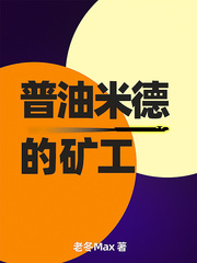 33小说网 普油米德的矿工