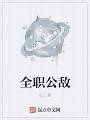 33小说网 全职公敌