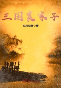 33小说网 三国良家子