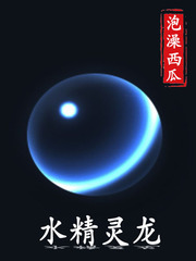 33小说网 水灵龙