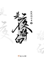 33小说网 是夜将白