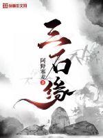 33小说网 三石缘