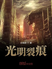 33小说网 光明裂痕