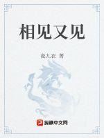 33小说网 相见又见