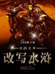 33小说网 回到北宋改写水浒
