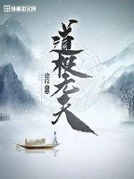 33小说网 道极无天