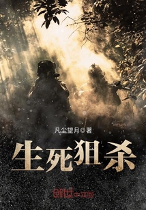 33小说网 抗战之野狼突击队