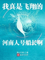 33小说网 我真是飞翔的河南人号船长啊