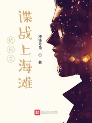 33小说网 抗日之谍战上海滩
