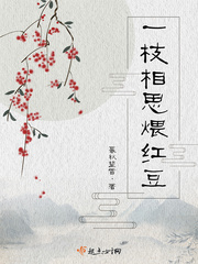 33小说网 一枝相思煨红豆