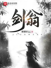 33小说网 剑翁