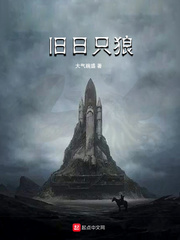 33小说网 旧日只狼