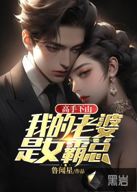 33小说网 高手下山：我的老婆是女霸总