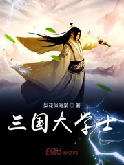 33小说网 三国大学士