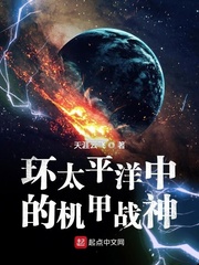 33小说网 环太平洋中的机甲战神
