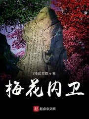33小说网 梅花内卫