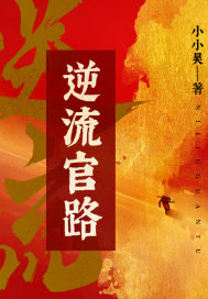 33小说网 逆流官路