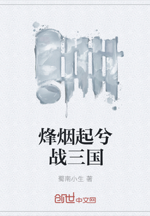33小说网 烽烟起兮战三国