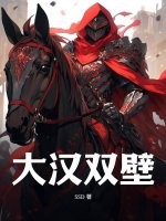 33小说网 大汉双壁