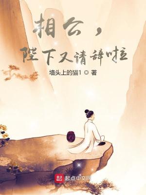 33小说网 相公，陛下又请辞啦
