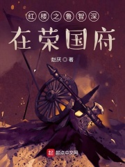 33小说网 红楼之鲁智深在荣国府