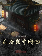 33小说网 在唐朝开网吧