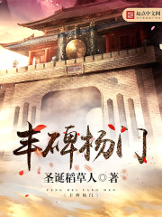 33小说网 丰碑杨门