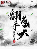 33小说网 翻手成天