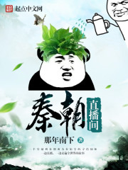 33小说网 秦朝直播间