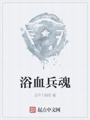33小说网 浴血兵魂