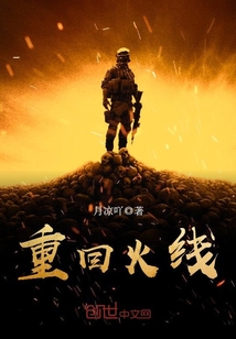 33小说网 重回火线