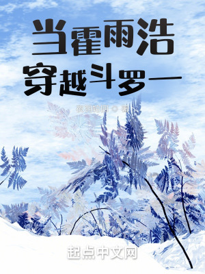 33小说网 当霍雨浩穿越斗罗一