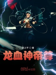 33小说网 龙血神帝尊