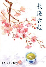 33小说网 长海云起