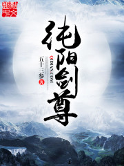 33小说网 纯阳剑尊