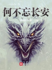 33小说网 何不忘长安