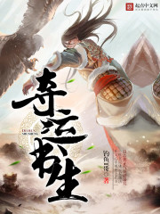 33小说网 夺运书生