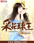 33小说网 采花球王
