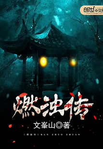 33小说网 燃浊传