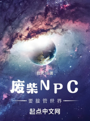 33小说网 废柴NPC要接管世界